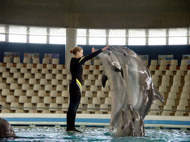 Dar nė vienas mokslininkas neįrodė, kad delfinų terapija išgydo vaiką, turintį autizmo sutrikimą.  Foto: A.Kalvaitis (lrytas.lt)
